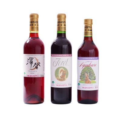 辛口 赤ワイン 3本セット 飲み比べ