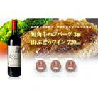 岩手県　葛巻町×矢巾町 山ぶどうワイン720mlと短角牛ハンバーグ3個 セット【複数個口で配送】