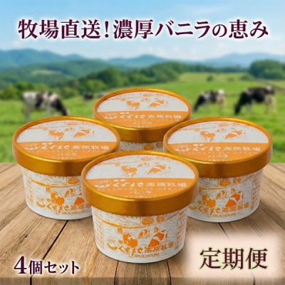 【毎月定期便】くずまき高原牧場 アイスクリーム4個セット【バニラ味】全5回