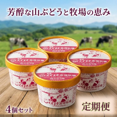 【毎月定期便】くずまき高原牧場 アイスクリーム4個セット【山ぶどう味】全5回