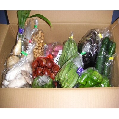 季節の野菜詰め合わせ(約7kg)