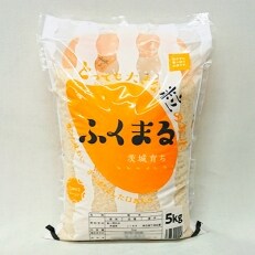 【令和4年産】茨城県産米　茨城育ちふくまる　5㎏ | ふるさと納税のお礼品