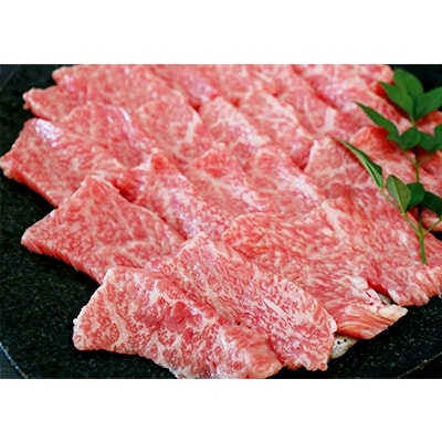 熊本県　人吉球磨育ちのあか牛厳選焼肉　600g
