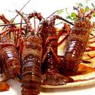 活〆冷凍伊勢海老【2kg】