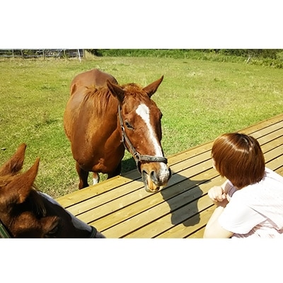 コテージPOSY1泊2日宿泊券(1名様分)体験チケット y074