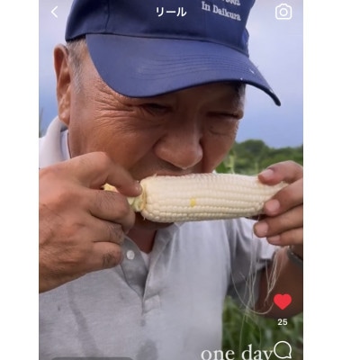 甘い!白い!でかい!とうもろこし　白いおおもの　2kg