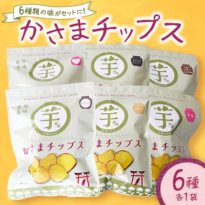 かさまチップスセット(6種類×各1袋)