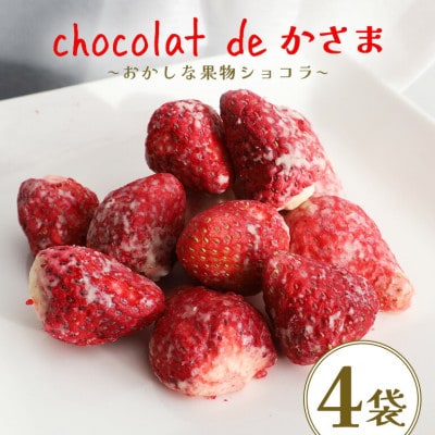 Chocolat de かさま おかしな果実ショコラ 完熟とちおとめの詰め合わせ