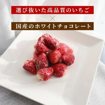 Chocolat de かさま おかしな果実ショコラ 完熟とちおとめの詰め合わせ