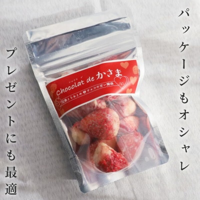 Chocolat de かさま おかしな果実ショコラ 完熟とちおとめの詰め合わせ