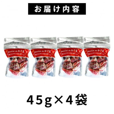 Chocolat de かさま おかしな果実ショコラ 完熟とちおとめの詰め合わせ