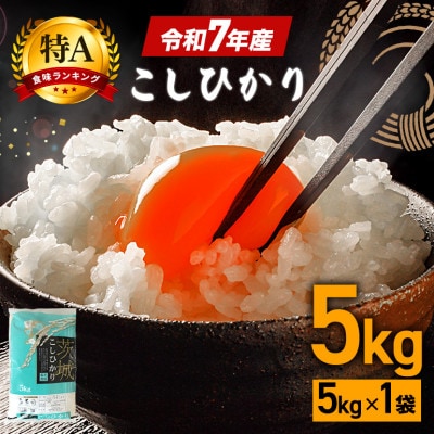 令和7年産 コシヒカリ 精米5kg 特A 茨城県笠間市