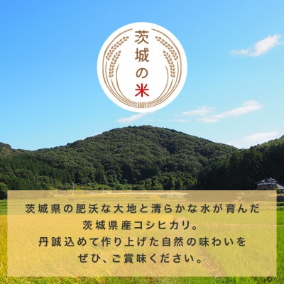 令和7年産 コシヒカリ 精米5kg 特A 茨城県笠間市