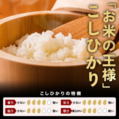 【令和8年産　新米】コシヒカリ 精米5kg 特A 茨城県笠間市