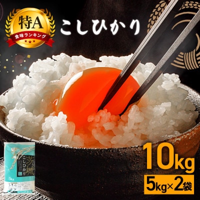 【毎月定期便】茨城県笠間市 コシヒカリ 精米 10kg(5kg×2袋)全3回