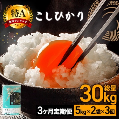 【毎月定期便】茨城県笠間市 コシヒカリ 精米 10kg(5kg×2袋)全3回