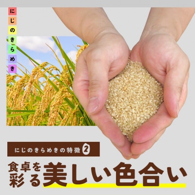 【毎月定期便】茨城県笠間市 にじのきらめき 玄米 5kg(5kg×1袋)全3回