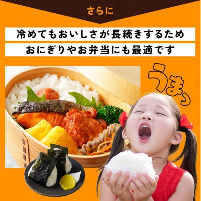 【毎月定期便】茨城県笠間市 にじのきらめき 精米 5kg(5kg×1袋)全6回