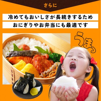 【毎月定期便】茨城県笠間市 にじのきらめき 精米 10kg(5kg×2袋)全6回