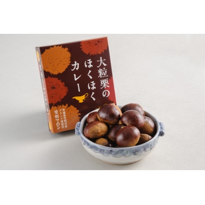 大粒栗のほくほくカレー　5個化粧箱入り