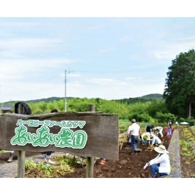 自然と触れ合う農村体験!あいあい農園オーナー利用券(1区画分)