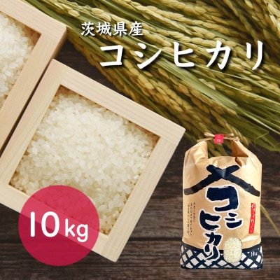 令和5年産 茨城県産 コシヒカリ 10kg | お礼品詳細 | ふるさと納税なら