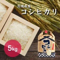 令和5年産 茨城県産 コシヒカリ 5kg