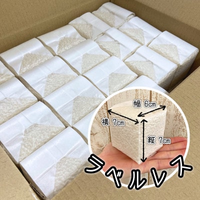令和6年産 茨城県産コシヒカリ 無洗米 真空パック 2合×10袋