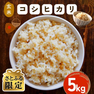 【さとふる限定】【玄米】令和7年度 笠間産 コシヒカリ 5kg