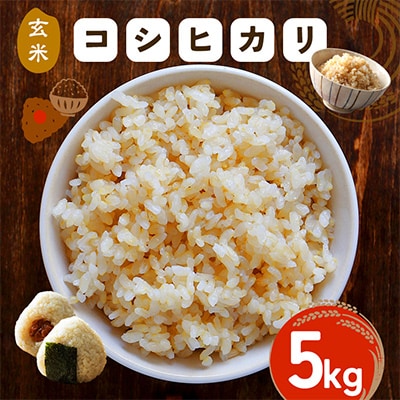 【玄米】令和7年度 笠間産 コシヒカリ 5kg
