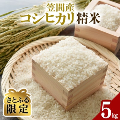 【さとふる限定】令和7年度 笠間産 コシヒカリ 5kg　精米