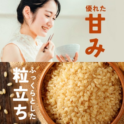 【さとふる限定】令和7年度 笠間産 コシヒカリ 5kg　精米