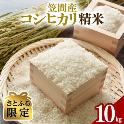 【さとふる限定】令和7年度 笠間産 コシヒカリ 10kg　精米