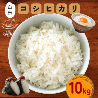 令和7年度 笠間産 コシヒカリ 10kg　精米