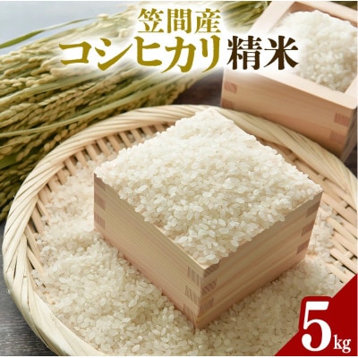 令和8年産 笠間産 コシヒカリ 5kg　精米