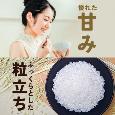 令和8年産 笠間産 コシヒカリ 5kg　精米
