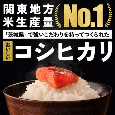 令和8年産 茨城県産コシヒカリ 精米・無洗米 真空パック 2合×30袋