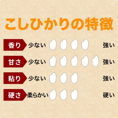 【毎月定期便】笠間産 コシヒカリ 10kg 精米全6回