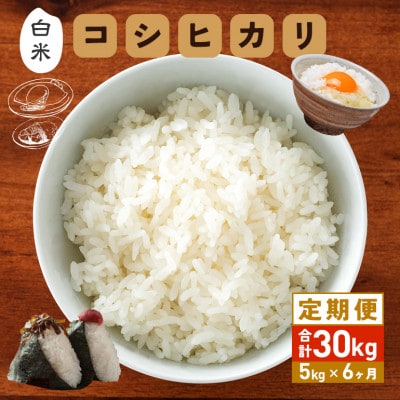 【毎月定期便】笠間産 コシヒカリ 5kg 精米全6回