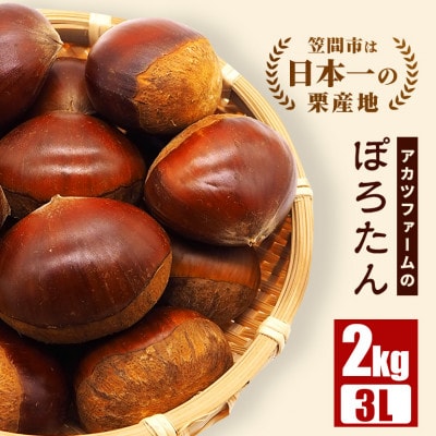 【先行予約　2026年9月下旬以降】アカツファームのぽろたん(生栗)3L 2kg