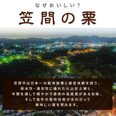 先行予約【2026年10月中旬以降に発送 】アカツファームの生栗 4L 1kg 笠間市