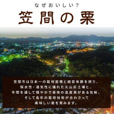 【2026年10月中旬以降に出荷】アカツファームの生栗  4L以上 メガマロン 1kg