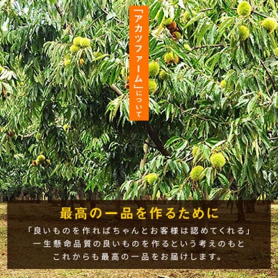 【2026年秋　先行予約】アカツファームの冷凍むき生栗(手むき)400g(200g×2パック)