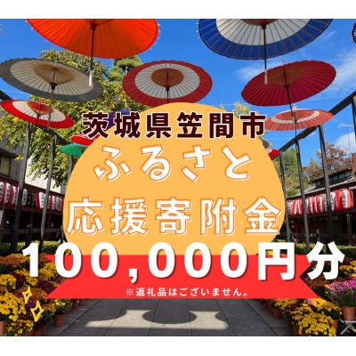 【返礼品なし】茨城県笠間市 応援寄附金 100,000円 (寄附のみの応援受付)