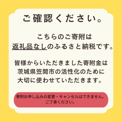 【返礼品なし】茨城県笠間市 応援寄附金 100,000円 (寄附のみの応援受付)
