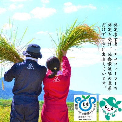 コシヒカリ「寿米流」5kg