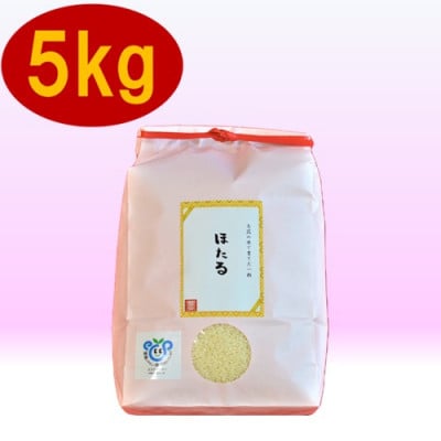 ミルキークイーン「ほたる」5kg