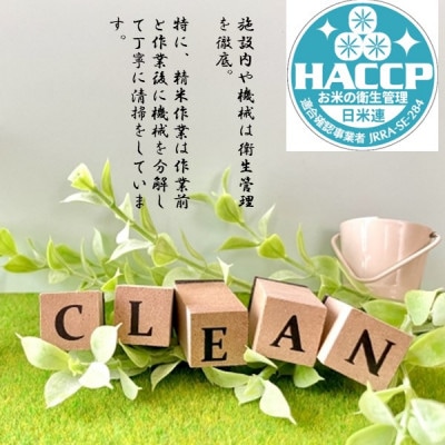 ミルキークイーン「ほたる」5kg