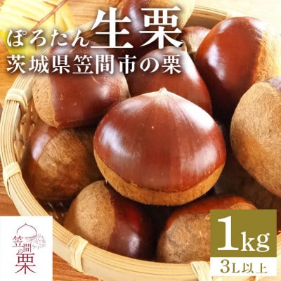 【2026年 秋 先行予約】笠間の栗・箱田農園の生栗「ぽろたん」1kg(3L以上)
