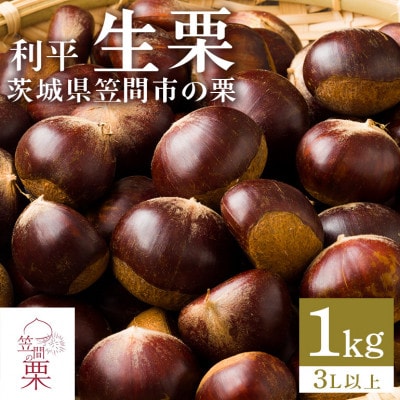 【2026年 秋 先行予約】笠間の栗・箱田農園の生栗「利平」1kg(3L以上)